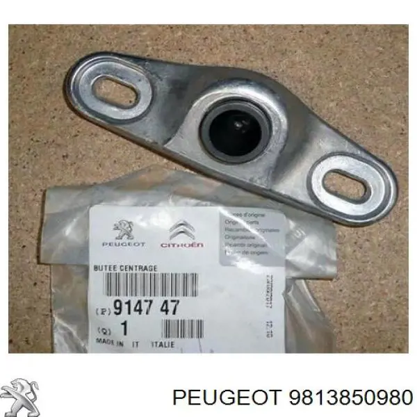 Купити 9813850980 Peugeot/Citroen Кришка заливної горловини бака AD BLUE