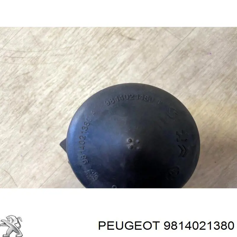  9814021380 Peugeot/Citroen