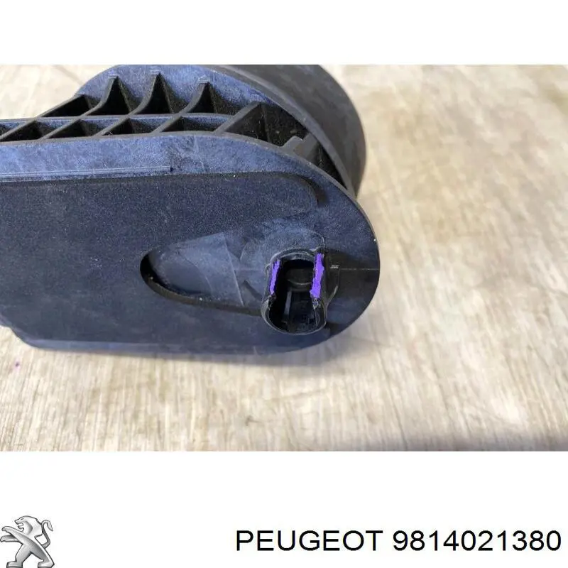Купити 9814021380 Peugeot/Citroen 