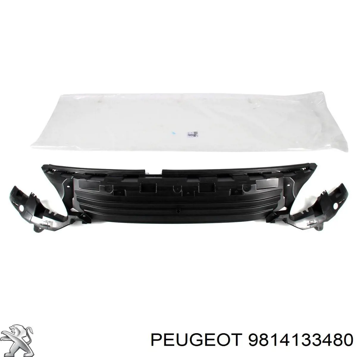 Купити PPG43050CA Signeda 