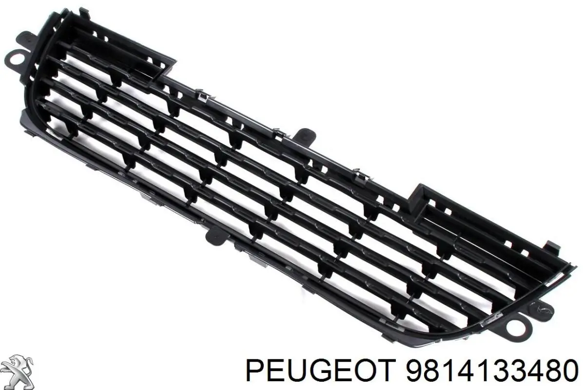  PPG43050CA Signeda
