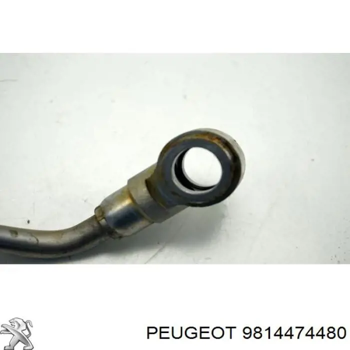 Купити 9814474480 Peugeot/Citroen Трубка/шланг відводу масла від турбіни