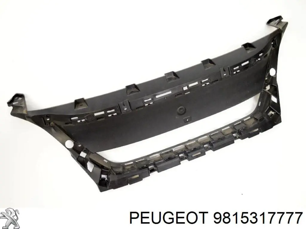 9815317777 Peugeot/Citroen 