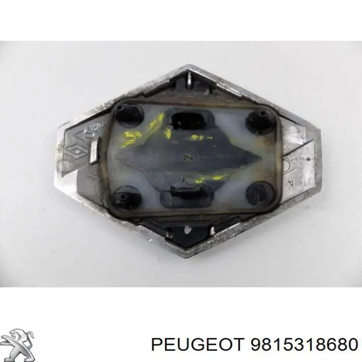 9815318680 Peugeot/Citroen 