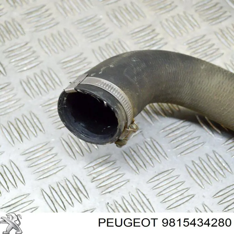 Купити 9815434280 Peugeot/Citroen Шланг/патрубок интеркуллера
