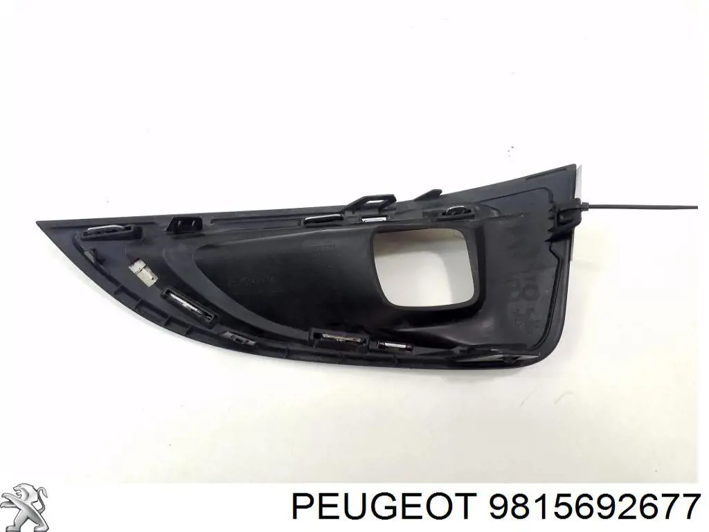  9815692677 Peugeot/Citroen