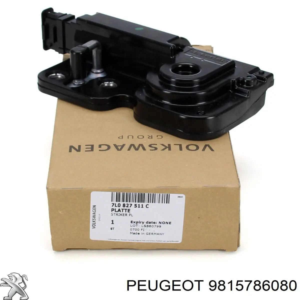 Купити 9815786080 Peugeot/Citroen Задня ляда