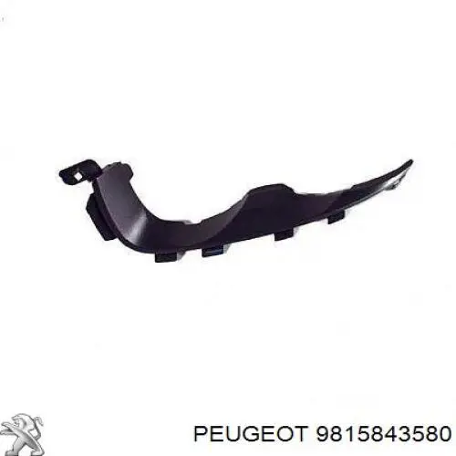 9815843580 Peugeot/Citroen Кронштейн бампера переднього, центральний