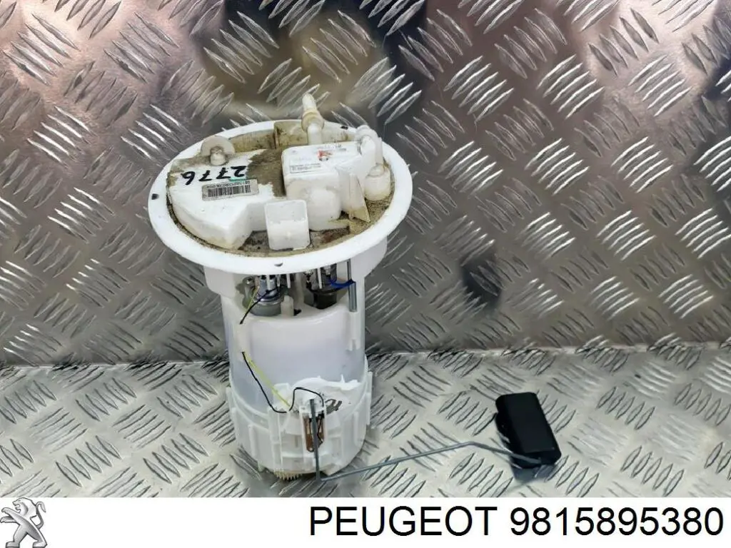  9815895380 Peugeot/Citroen