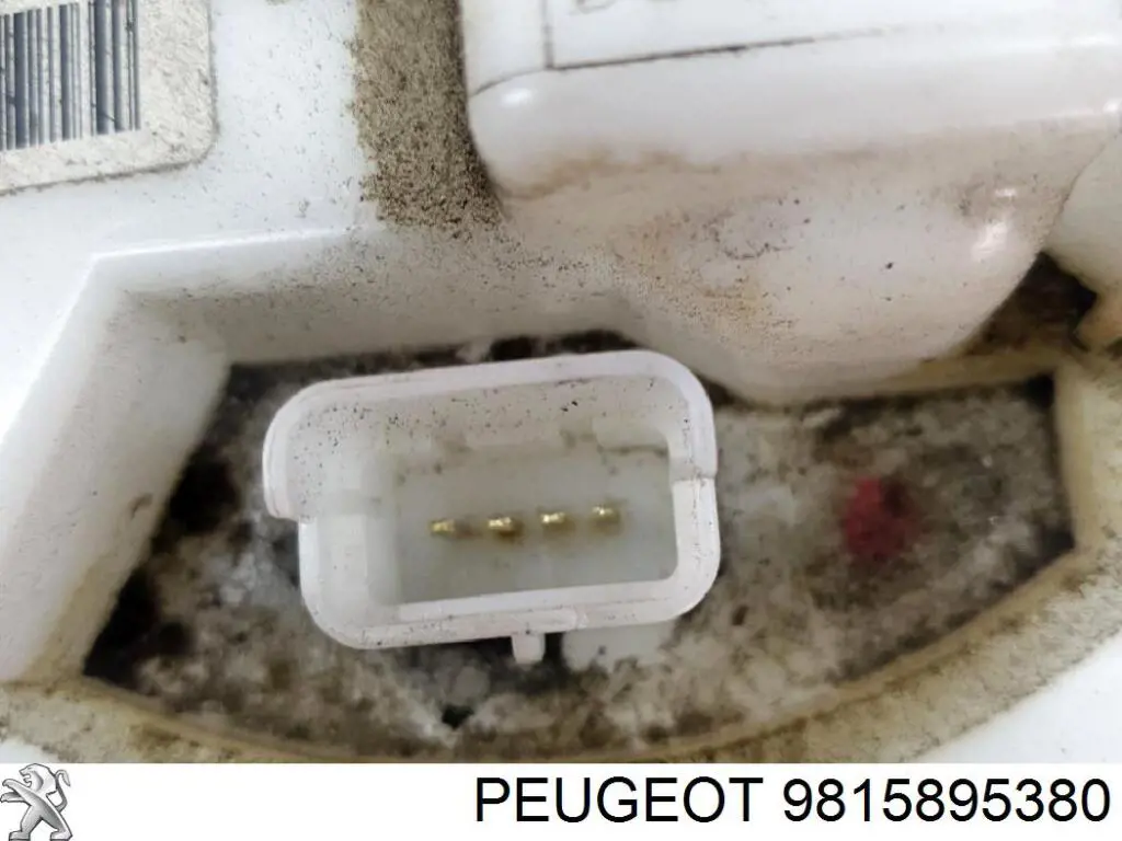 9815895380 Peugeot/Citroen 