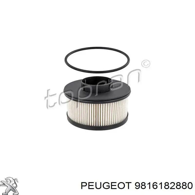Корпус паливного фільтра Peugeot/Citroen 9816182880 ціна, від 82.18 USD