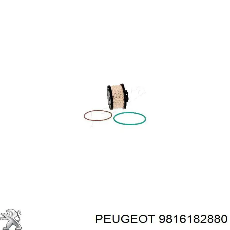 Купити 9816182880 Peugeot/Citroen Корпус паливного фільтра