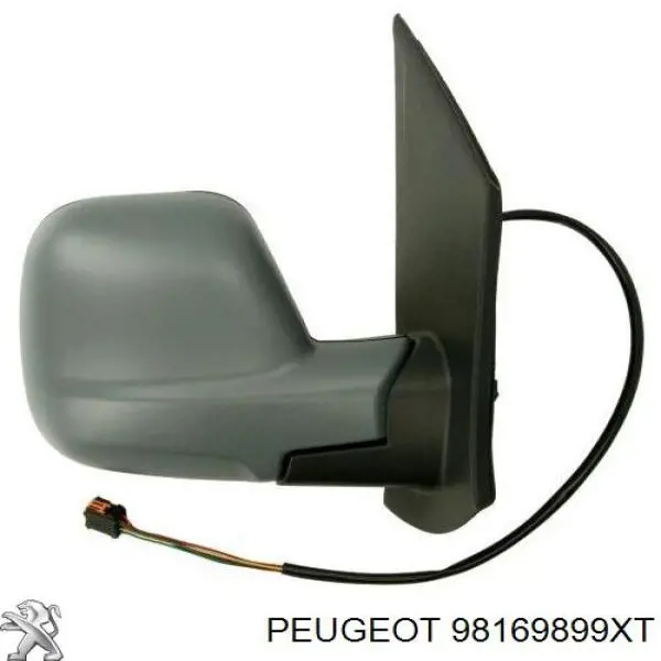  98169899XT Peugeot/Citroen