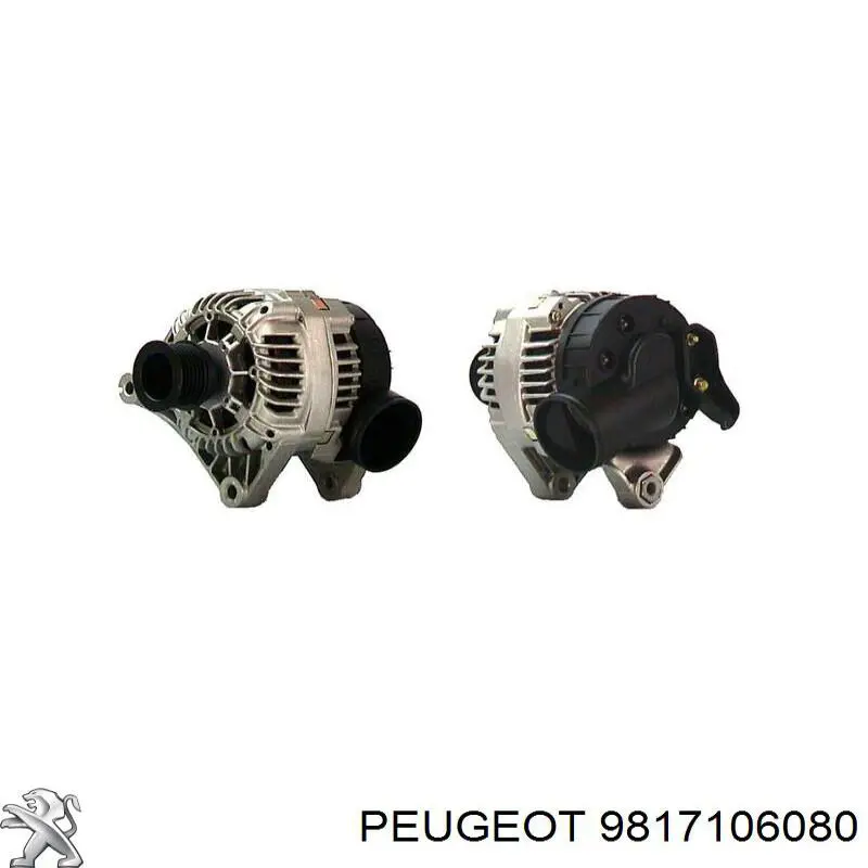  9817106080 Peugeot/Citroen