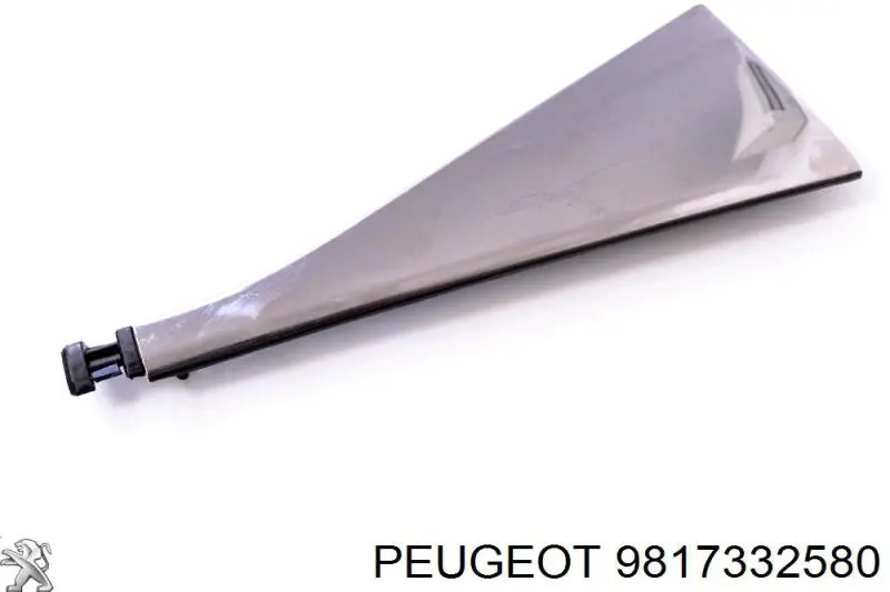 Купити 9817332580 Peugeot/Citroen Пильник заднього амортизатора