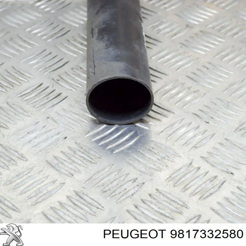 9817332580 Peugeot/Citroen Пильник стійки задньої