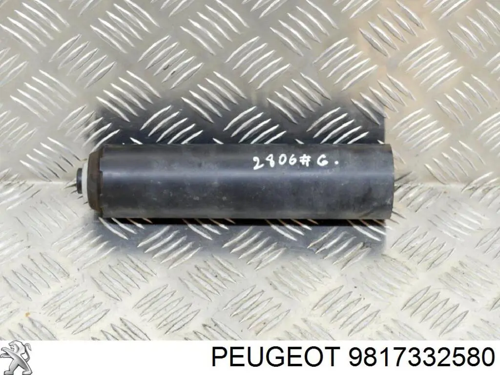 9817332580 Peugeot/Citroen Пильник стійки задньої