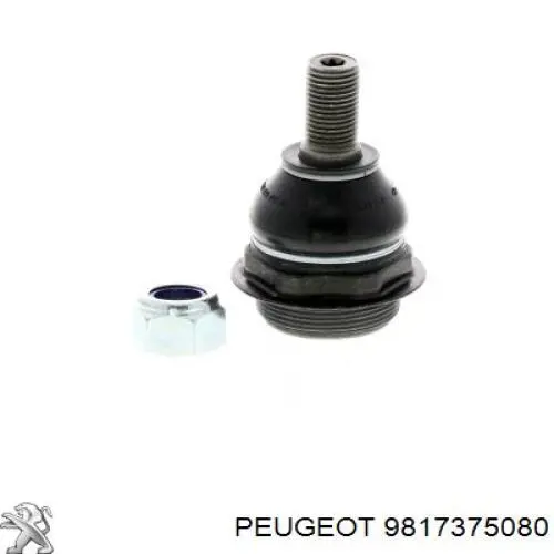 Кульова опора, нижня 9817375080 Peugeot/Citroen