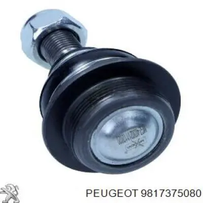 Купити 9817375080 Peugeot/Citroen Кульова опора, нижня