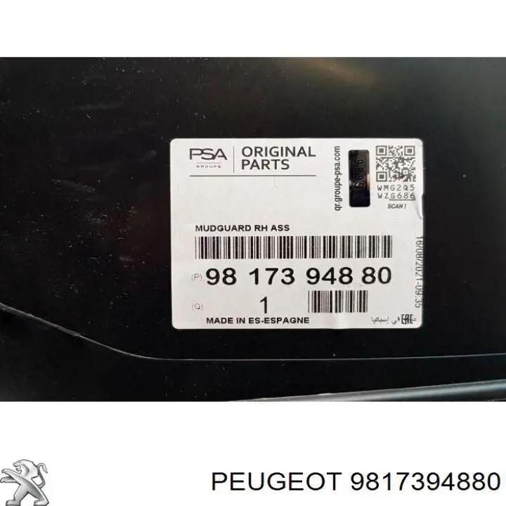 9817394880 Peugeot/Citroen Підкрилок переднього крила, правий