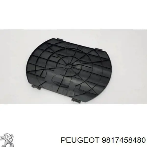 9817458480 Peugeot/Citroen 