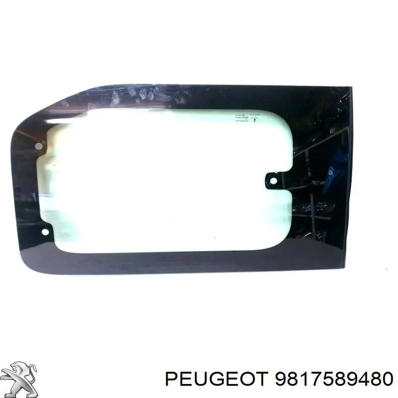 9817589480 Peugeot/Citroen 