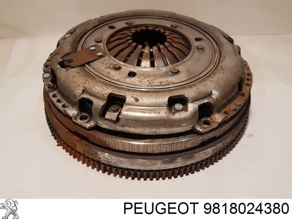 Маховик двигуна Sachs 2294002435 ціна, від 473.81 USD