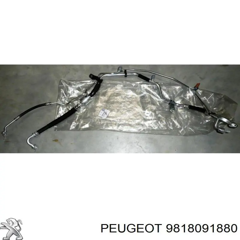 9818091880 Peugeot/Citroen Шланг кондиціонера, від випарника до компресора