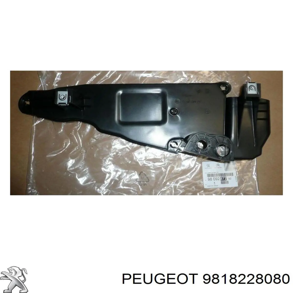 9818228080 Peugeot/Citroen 
