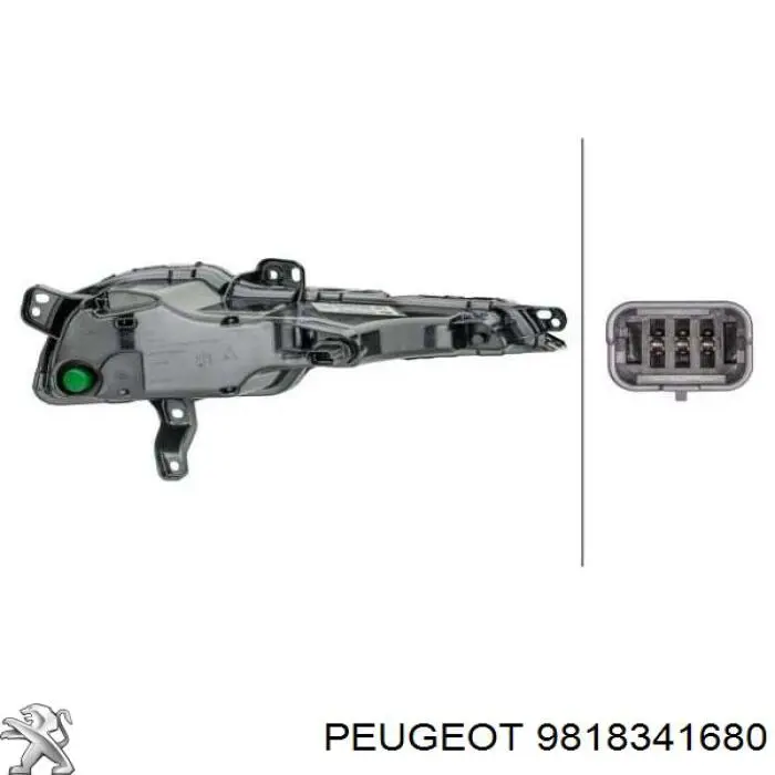 9818341680 Peugeot/Citroen Лівий покажчик повороту