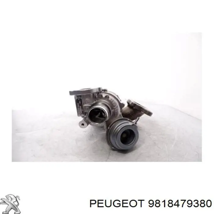 9818479380 Peugeot/Citroen турбіна