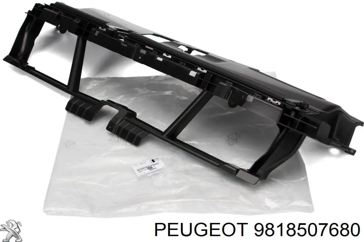 PPG43041A Signeda Кронштейн бампера переднього, правий