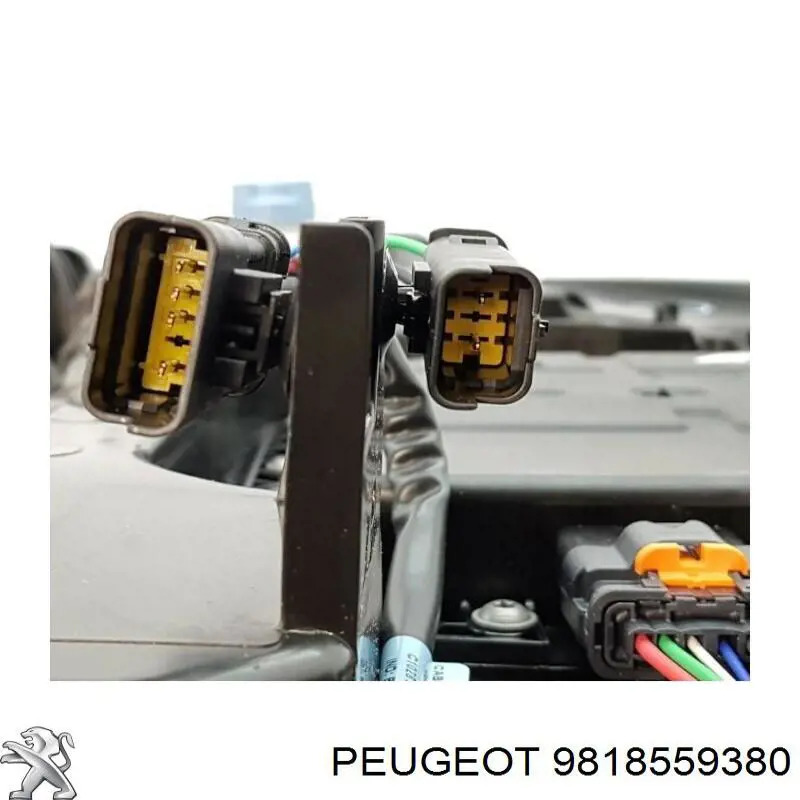 Купити 9818559380 Peugeot/Citroen Бак AD BLUE