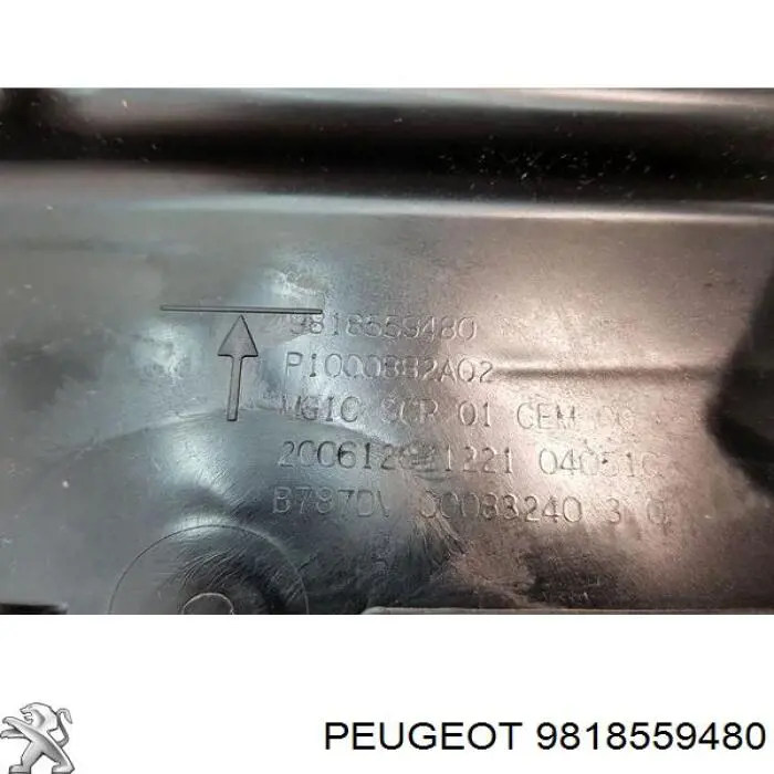 1682620180 Peugeot/Citroen Бак AD BLUE