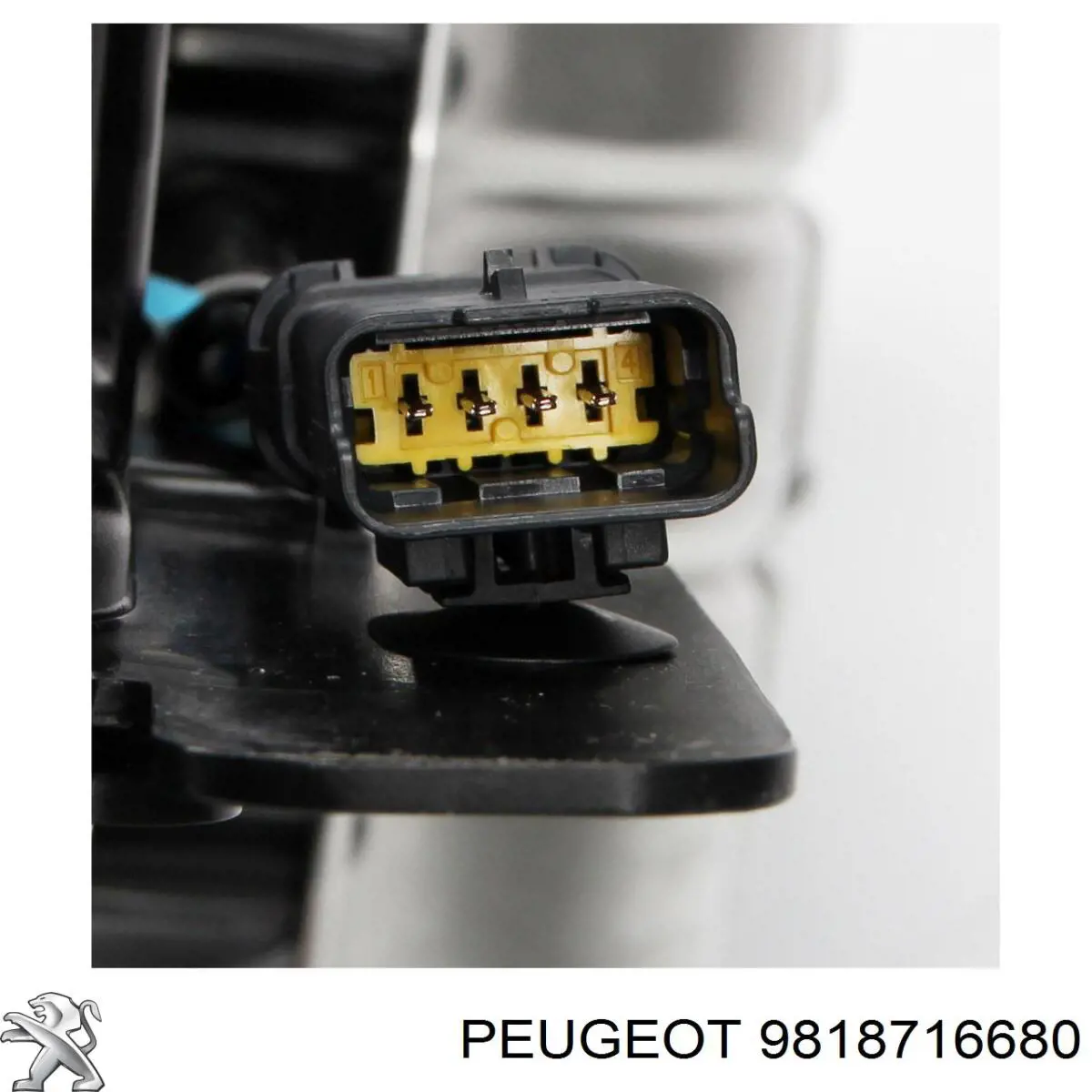 9818716680 Peugeot/Citroen Бак AD BLUE