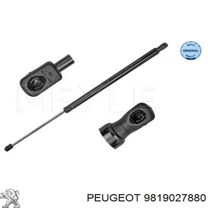 Купити 9819027880 Peugeot/Citroen Амортизатор двері багажника