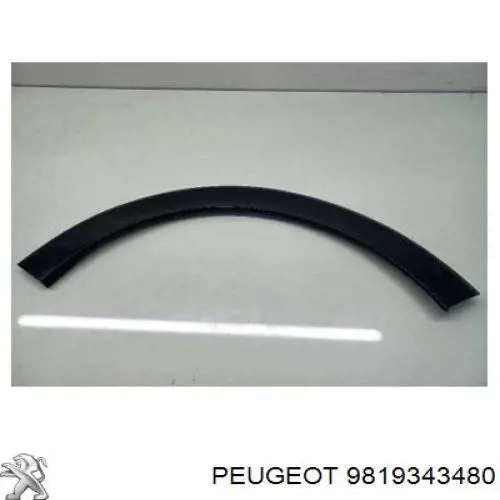  9819343480 Peugeot/Citroen
