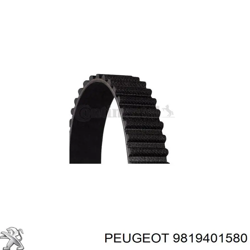 Ремінь ГРМ 9819401580 Peugeot/Citroen