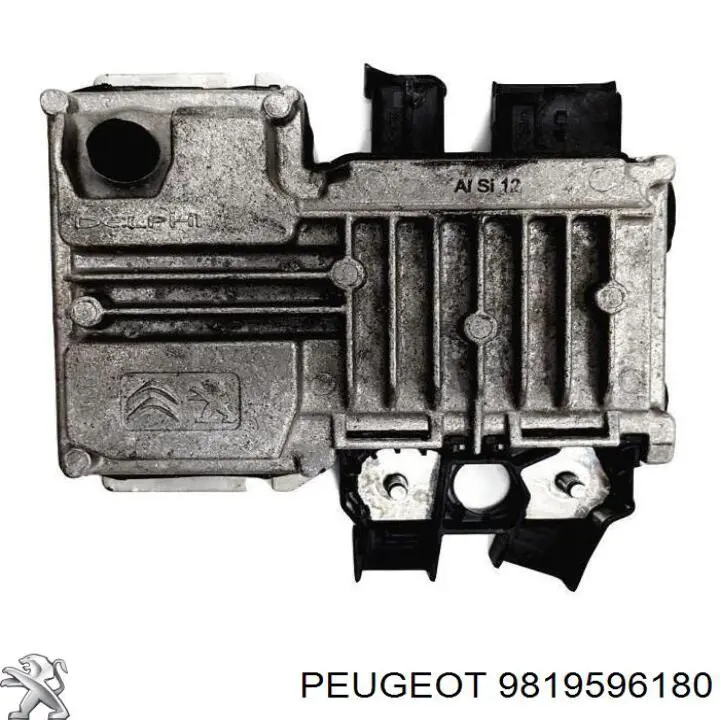 9819596180 Peugeot/Citroen 