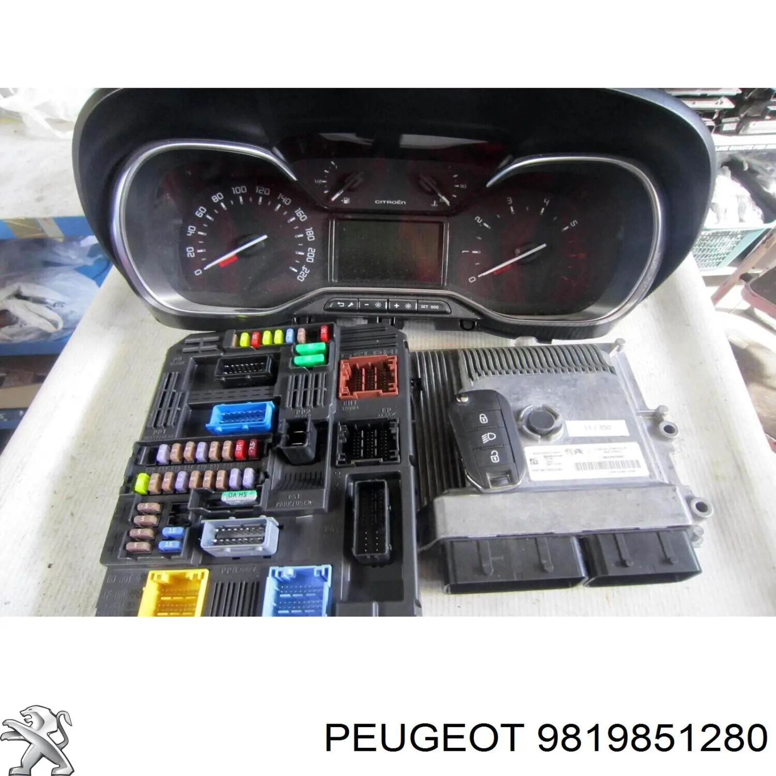 9819851280 Peugeot/Citroen 