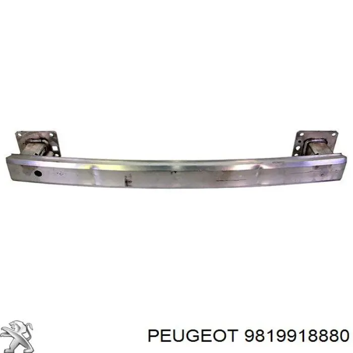 9819918880 Peugeot/Citroen Шина бампера заднього