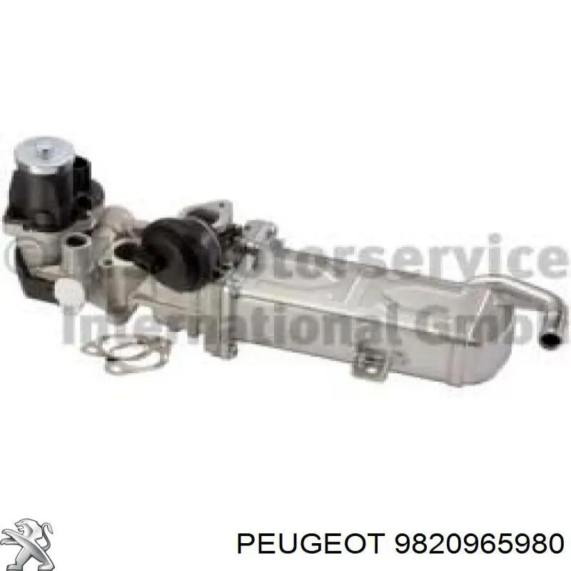 Купити 9820965980 Peugeot/Citroen Радіатор системи EGR рециркуляції вихлопних газів