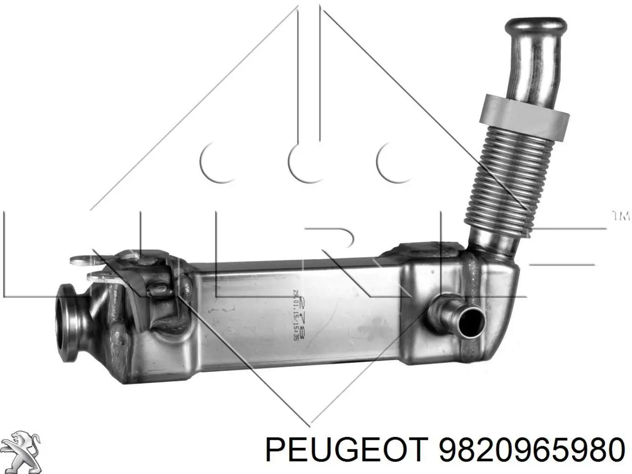 Купити 9820965980 Peugeot/Citroen Радіатор системи EGR рециркуляції вихлопних газів