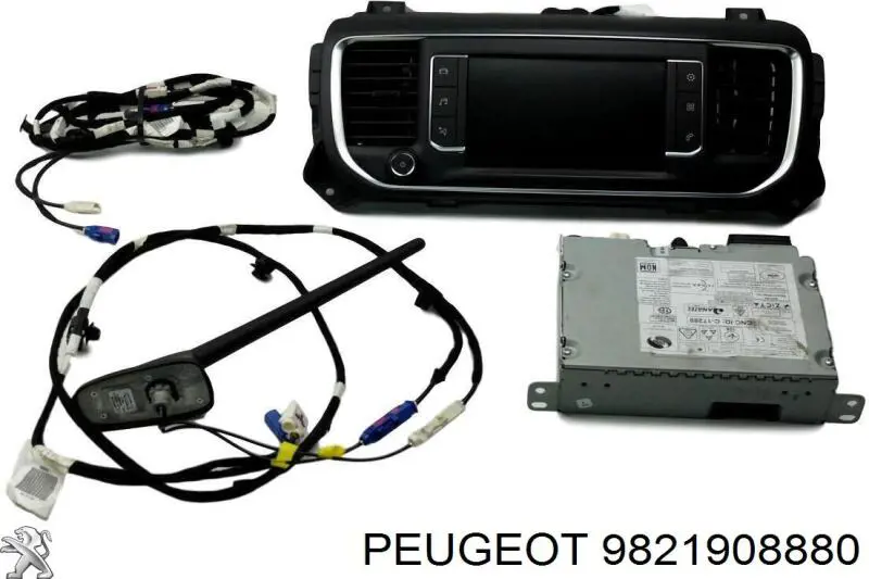  9821908880 Peugeot/Citroen