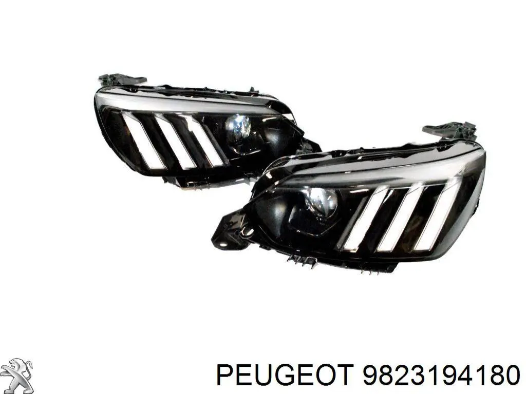  9823194180 Peugeot/Citroen