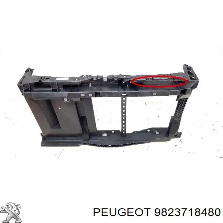 Панель передня Peugeot/Citroen 9823718480 ціна, від 102.06 USD