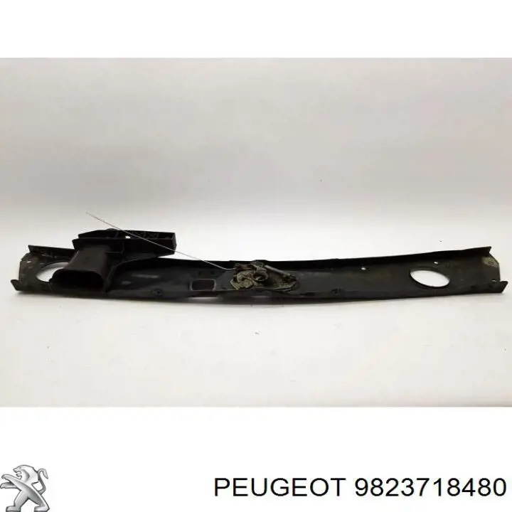 Купити 9823718480 Peugeot/Citroen Установча панель передня