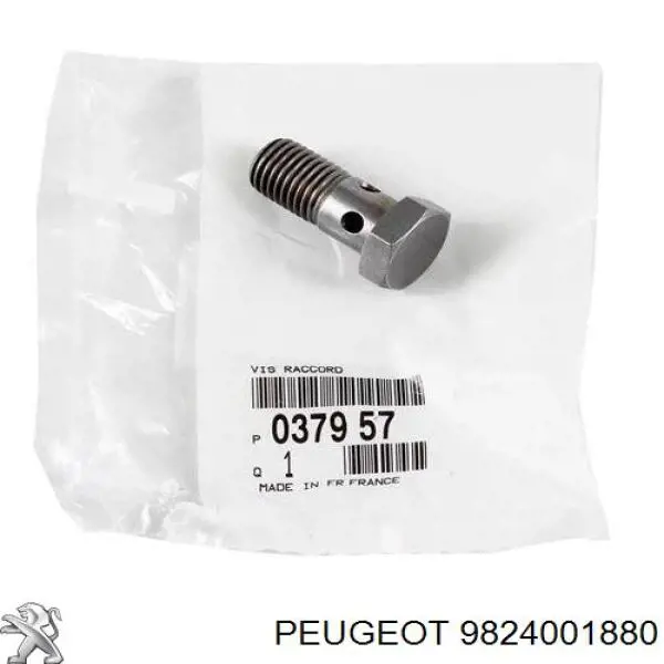 9824001880 Peugeot/Citroen трубка/шланг подачі масла до турбіни
