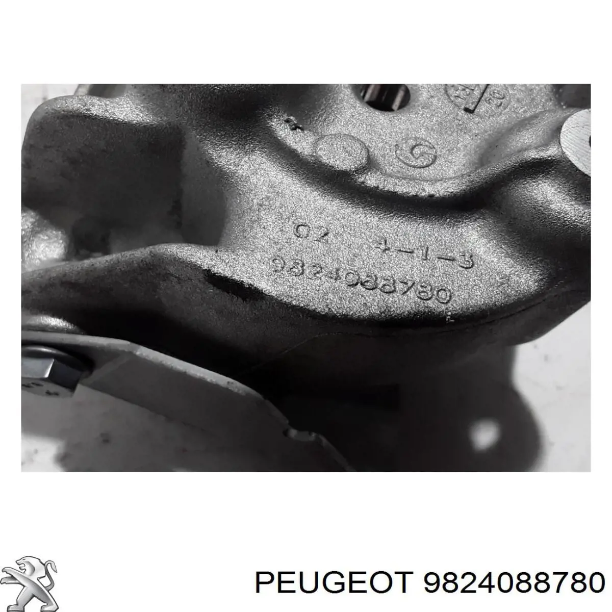 9824088780 Peugeot/Citroen 