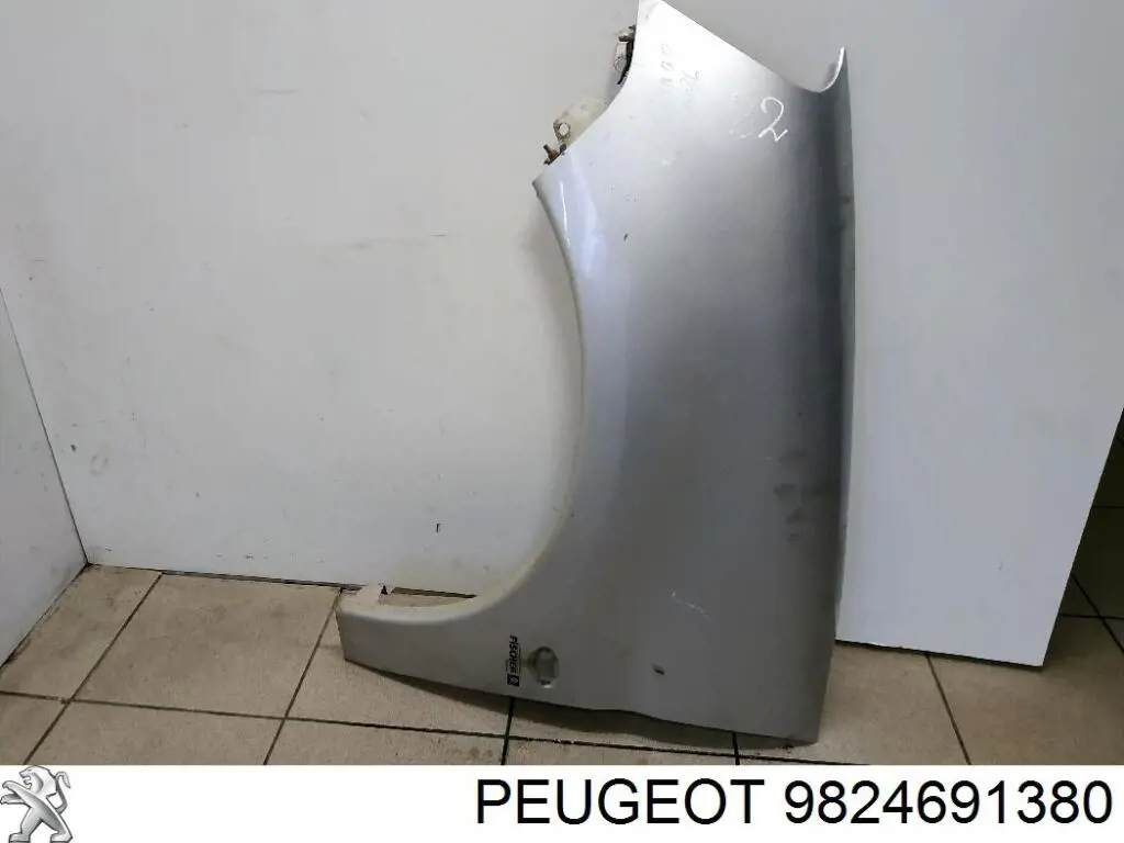 Купити 9824691380 Peugeot/Citroen Крило переднє ліве